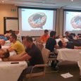 Terapia del Cranio Sacrale